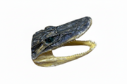 Alligator Head