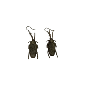 The Cockroach of New Orleans Earrings