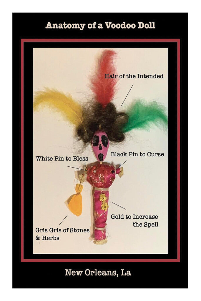 Anatomy of a Voodoo Doll 4x6 matted print with labeled New Orleans voodoo doll featuring feathers, pins, and gris gris bag